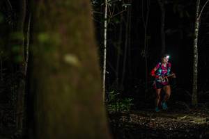 BIB: 
                            <button type="button" onclick="openModal(22561073)" class="btn btn-primary btn-sm float-right btn-popup" data-toggle="modal" data-target=".modal-high-quality">
                        <i class="fas fa-shopping-cart"></i> Add to Cart
                    </button>
                                            <button type="button" onclick="isThisMe(22561073, true)" class="btn btn-success btn-sm float-right btn-popup btn-isme hidden" data-toggle="tooltip" data-placement="bottom" title="นี่คือรูปของคุณใช่ไหม คลิกที่นี่เพื่อเอาเข้าอัลบั้ม">
                        <i class="fas fa-plus"></i> Add to album
                    </button>
                    <button type="button" onclick="isThisMe(22561073, false)" class="btn btn-warning btn-sm float-right btn-popup btn-isnotme hidden">
                        <i class="fas fa-ban"></i> Remove from album
                    </button>